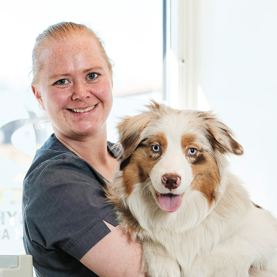 En veterinærer som holder en stor hund med lys pels.