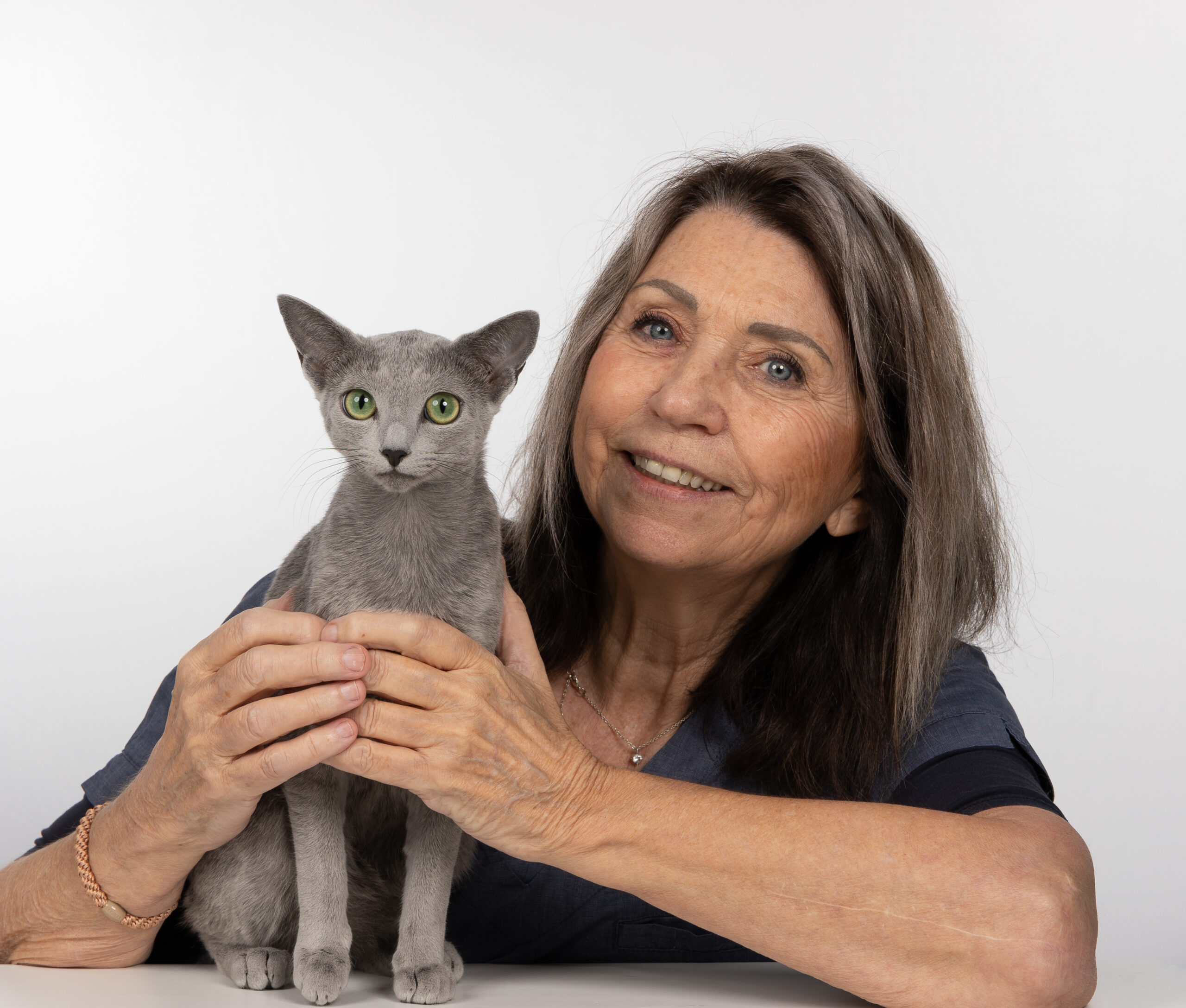 En veterinær som holder en grå katt med grønne øyne.