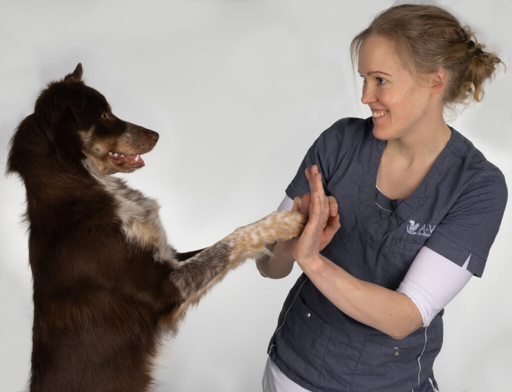 En dame som leker med en hund og tar high five med labben til hunden.