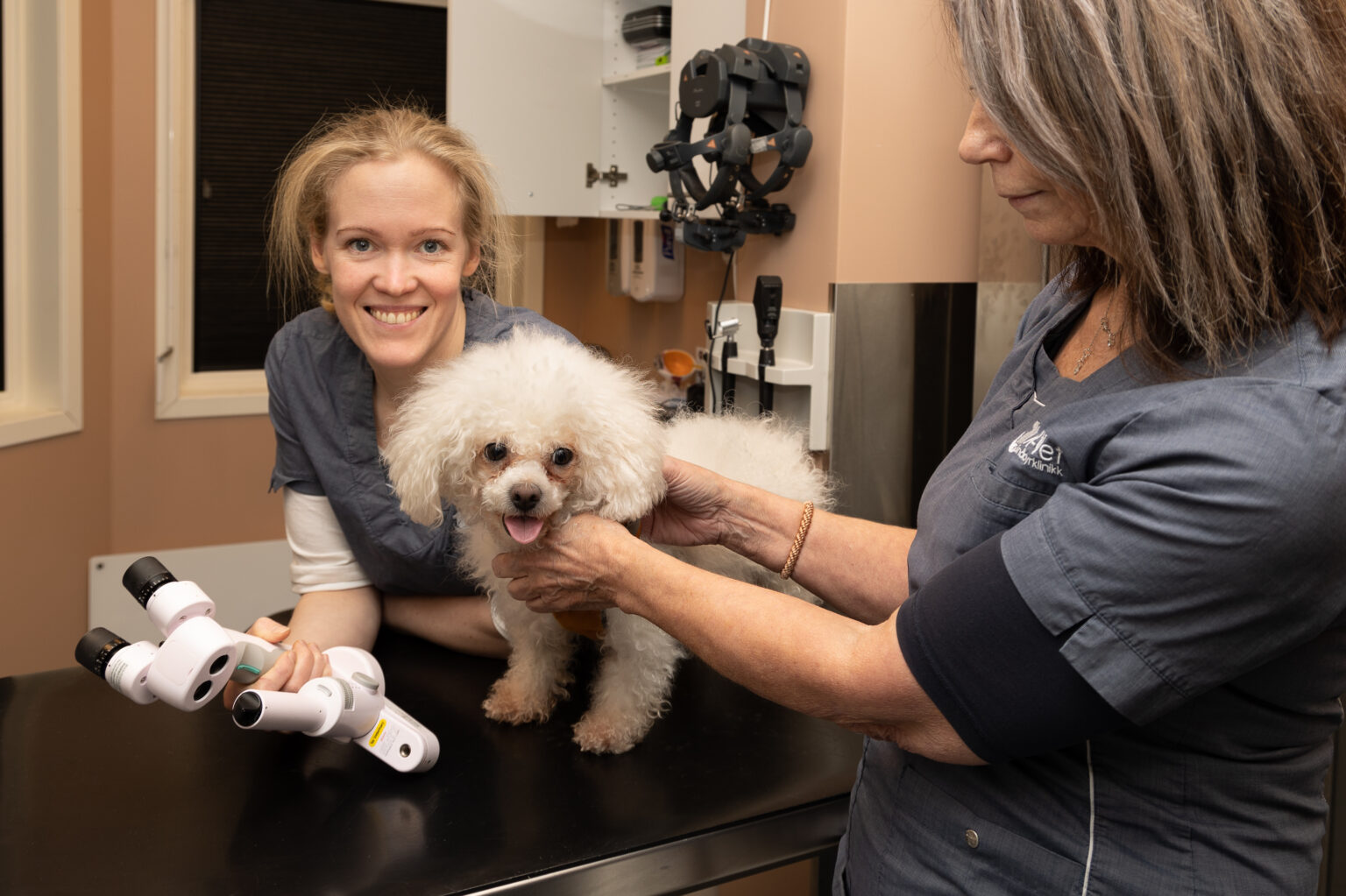To veterinærer som holder på med øyelysing hos en hund på et operasjonsbord.